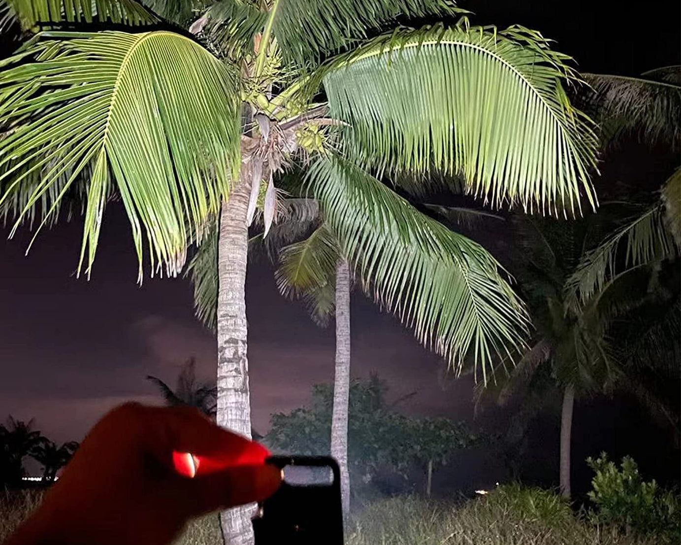 LED Battery Operated Keychain Flashlight Small Work Light with Folding Bracket Bottle Opener for Camping, Hiking, Emergency  (1 Pc / MOQ :- 36 Pcs)