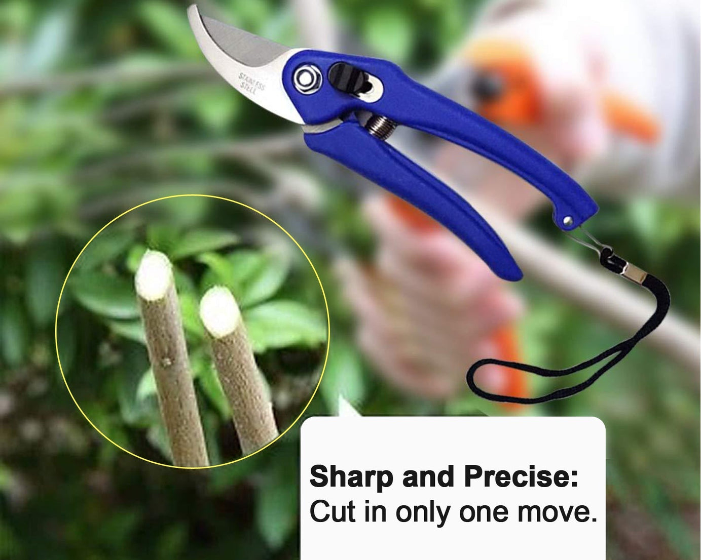 Multi-purpose pruners for garden use, ideal for leaves and branches
