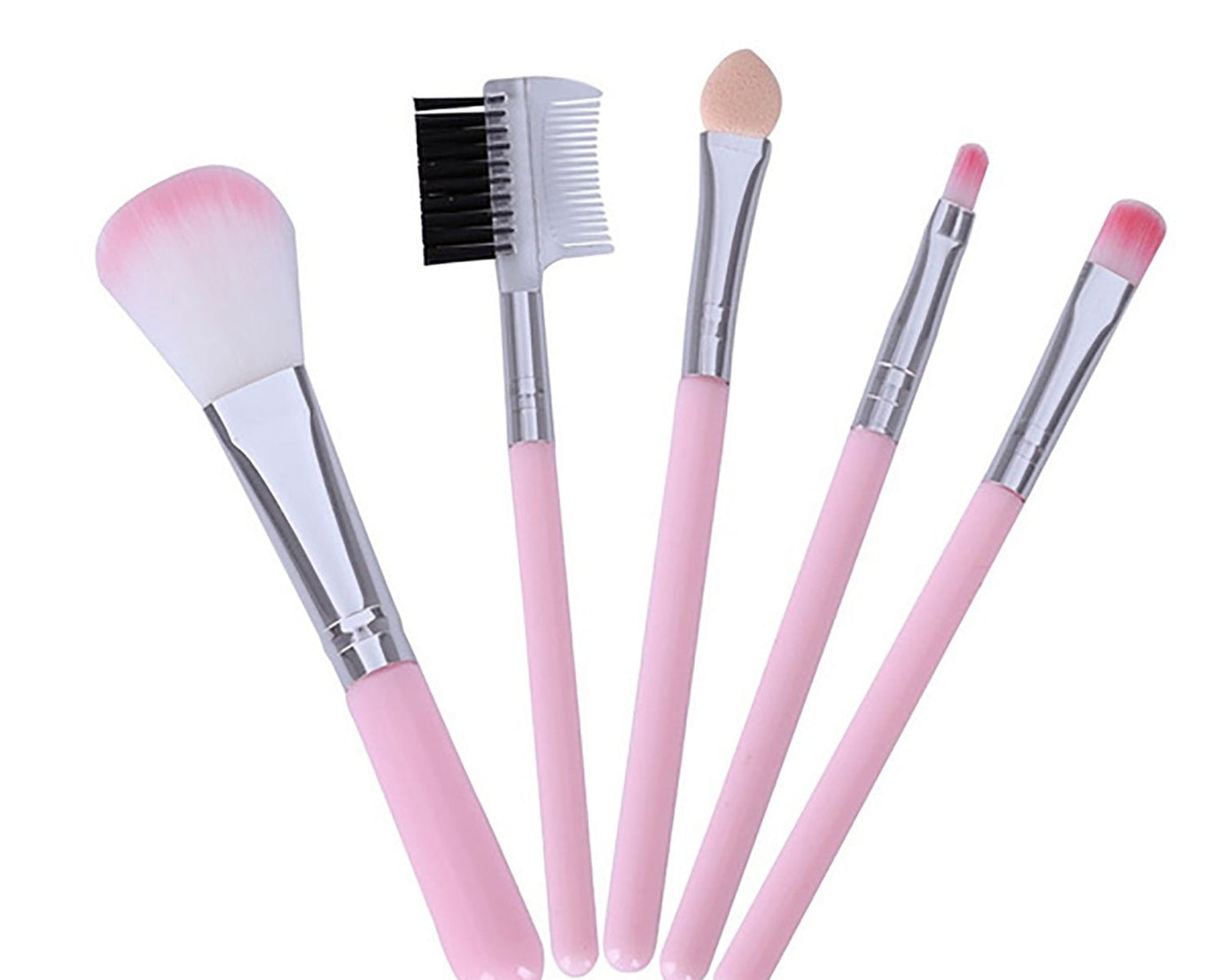 Makeup brushes kit with five brushes
