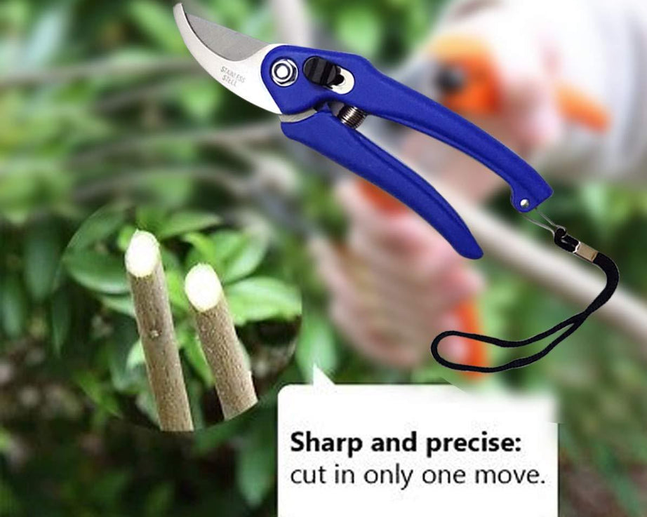 Stainless Steel Garden Scissors
