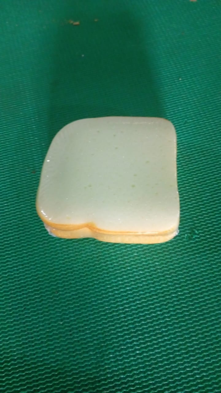 Sandwich Shaped Notepad / Sticky Notes / Memo Pads, Unique Mini Notes (Multicolor)