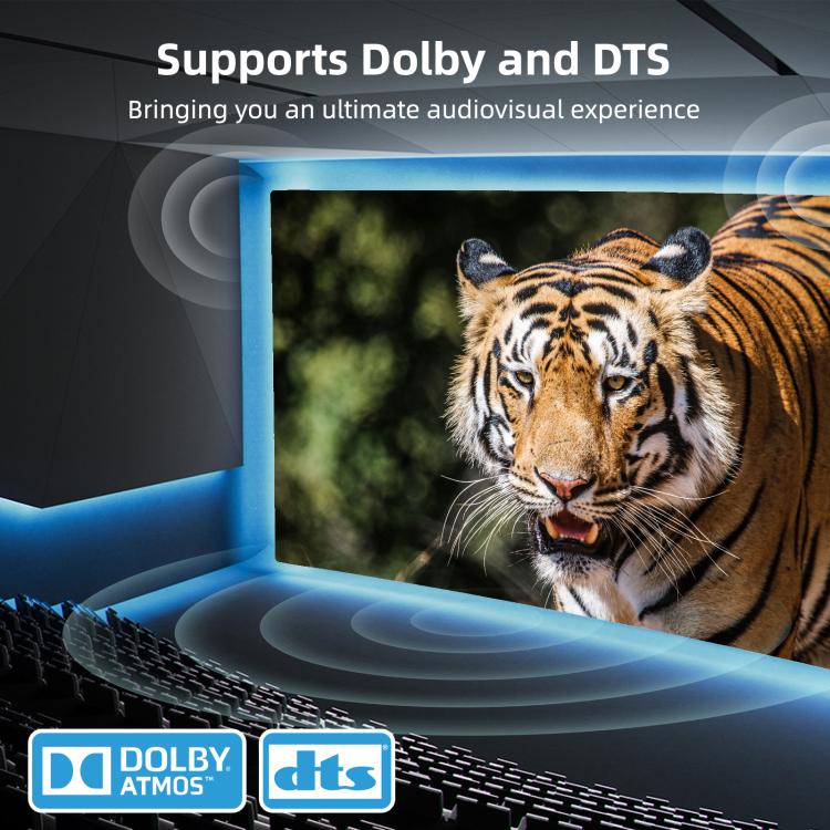 DisplayPort Switch 8K 30Hz HD Splitter For Computer Screen, DP201 2 In 1 Out, DP301 3 In 1 Out