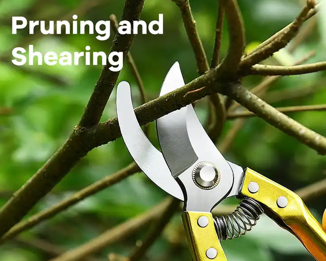 Gardening Tools - Garden Shears Pruners Scissor (1 Pc)