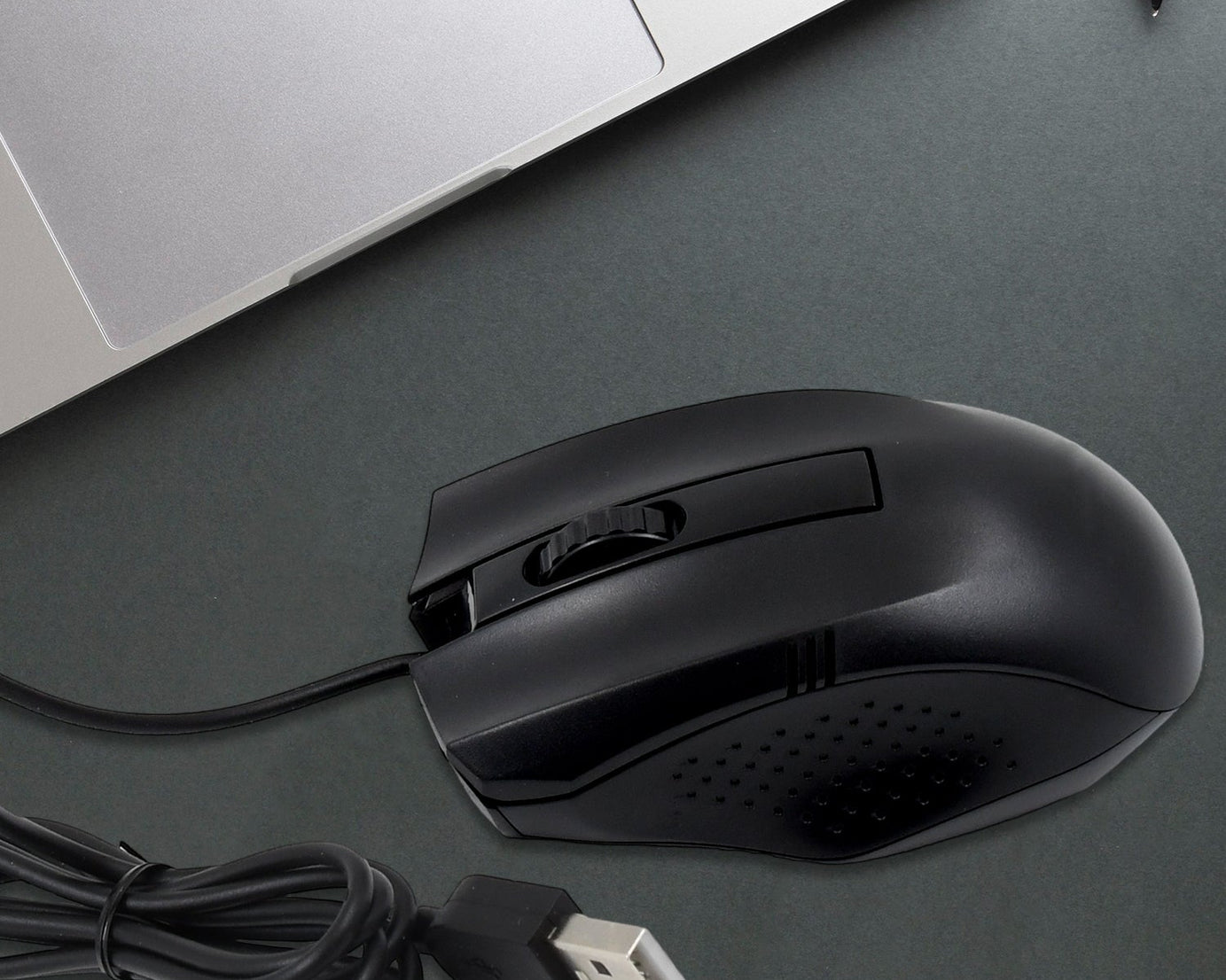 computer mouse