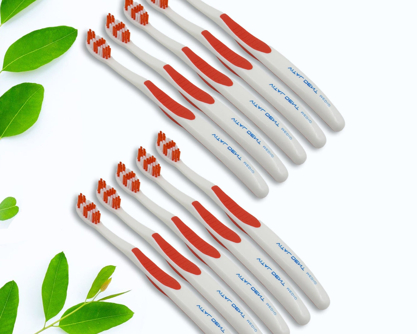 Soft Toothbrush With Plastic Round Box for Men and Women, Kids, Adults Plastic Toothbrush (10 pcs Set)