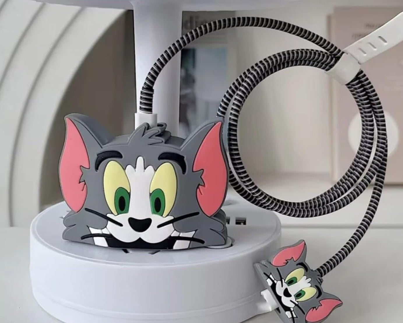  Charger Case
