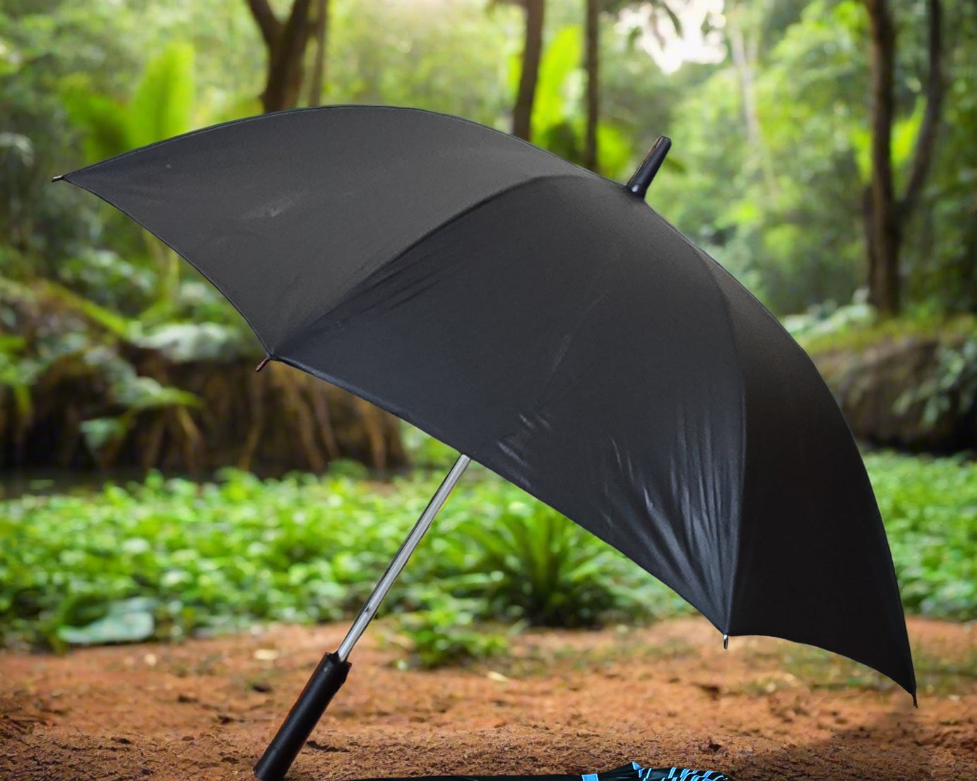 Umbrella