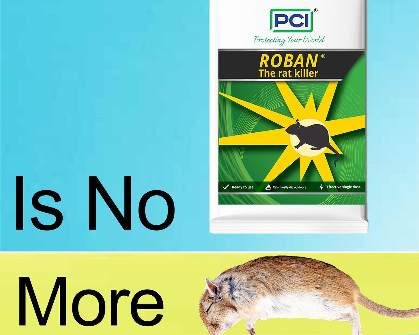 297 100gm PCI Roban the Rat Killer (Brown) BIG 