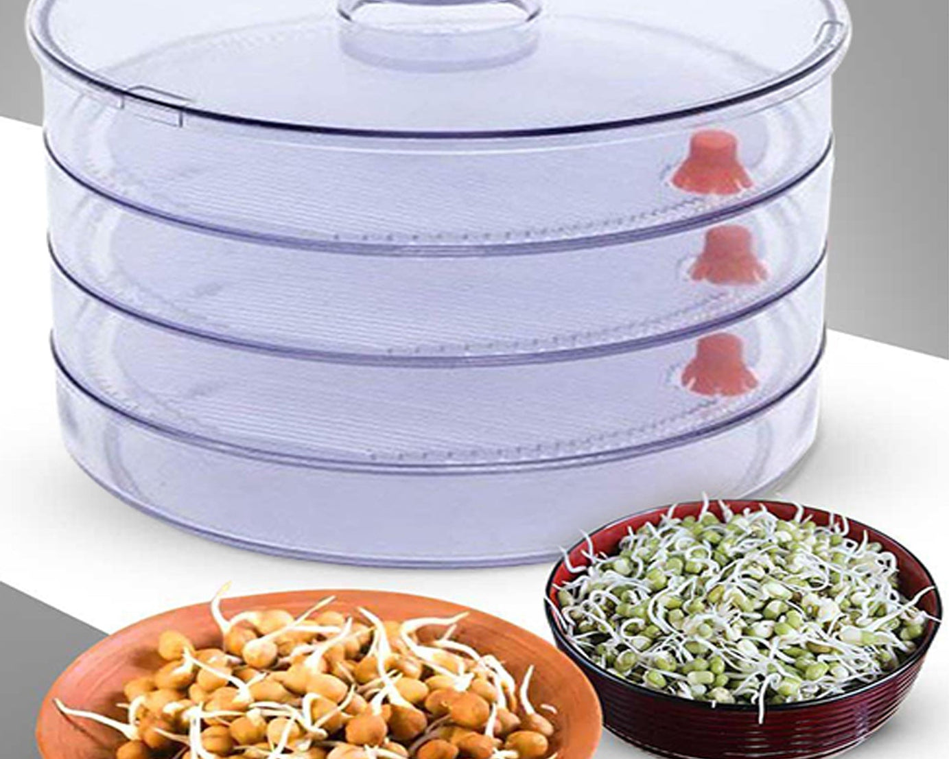 4-compartment sprout maker, white plastic.