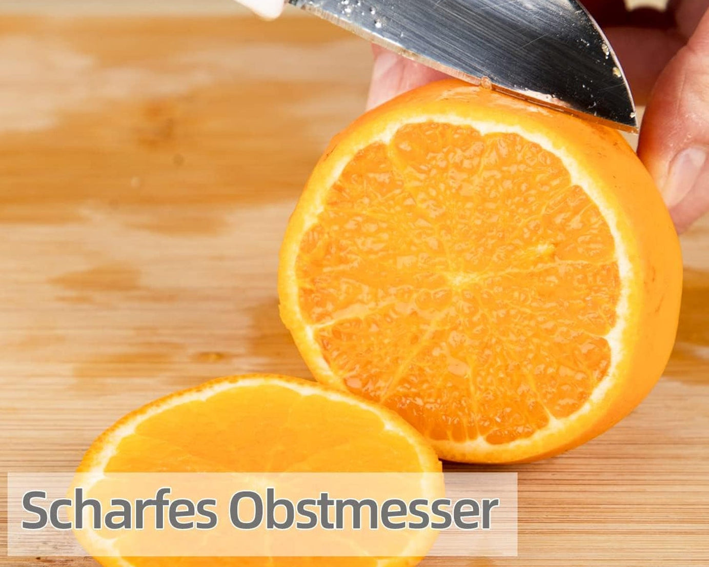 Portable Travel Knife with case