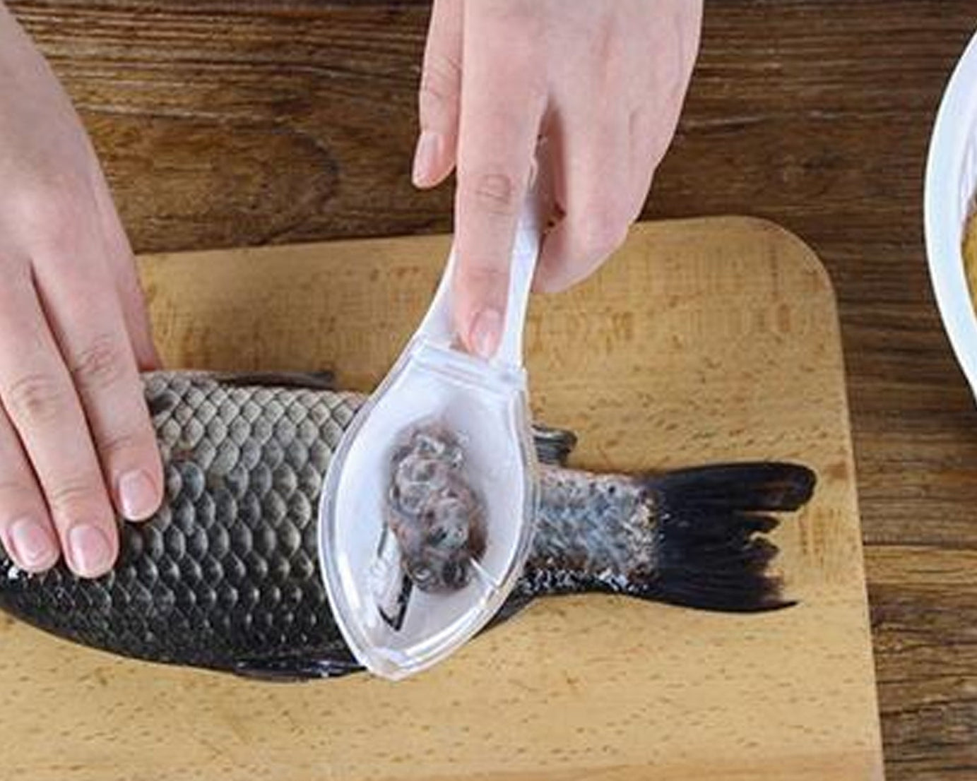 Fish scraper tool with ergonomic handle for easy use.