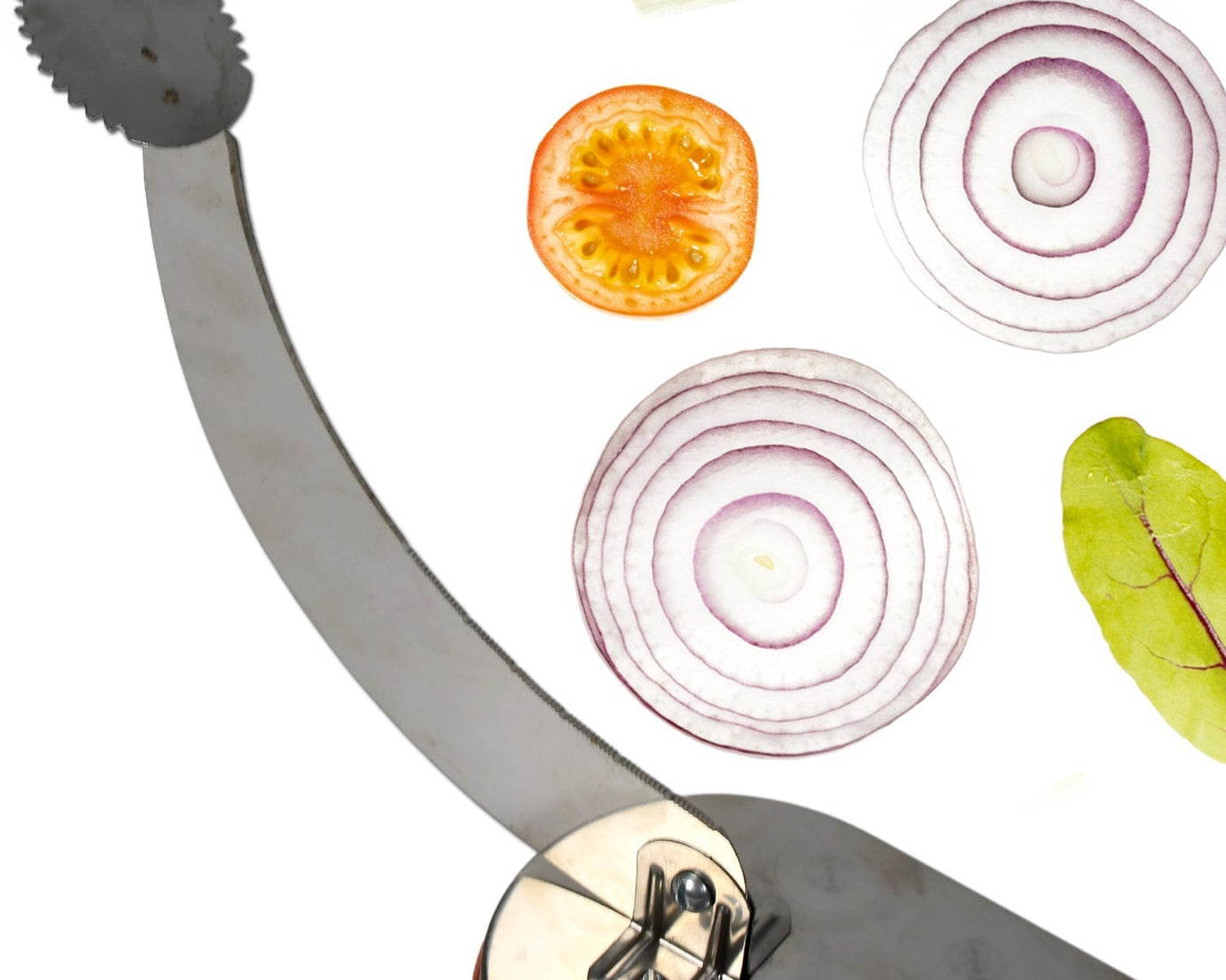 Cutting tool for kitchen use