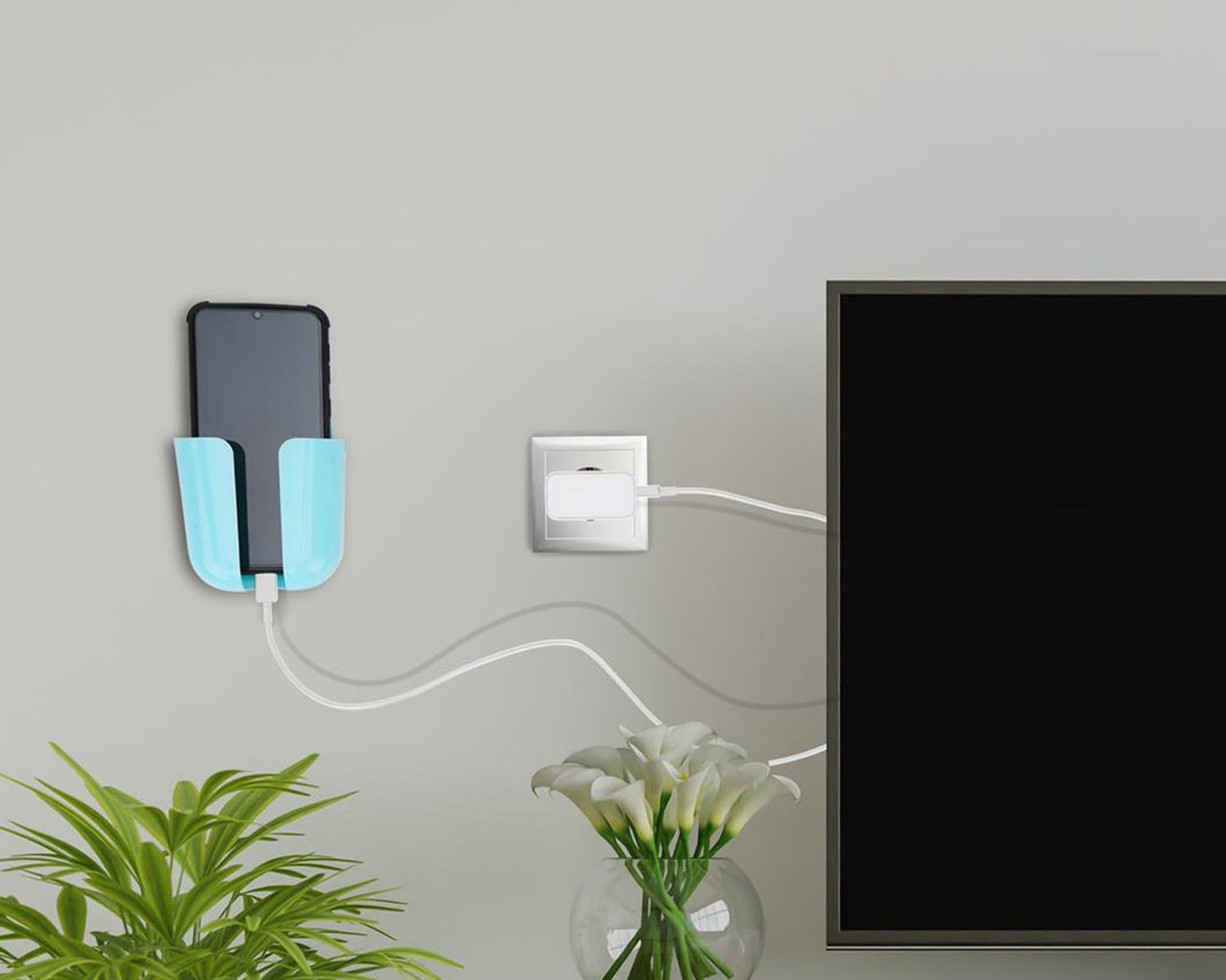 Wall-mounted storage case in various colors, ideal for remote control.