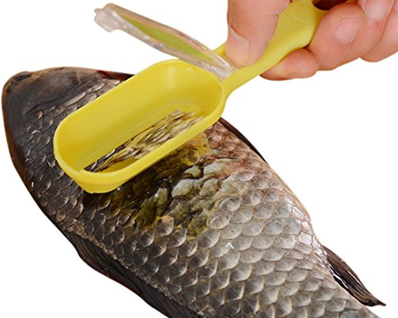 Effortless Fish Cleaning: Scraper, Grater & Brush in One (1 Pc)
