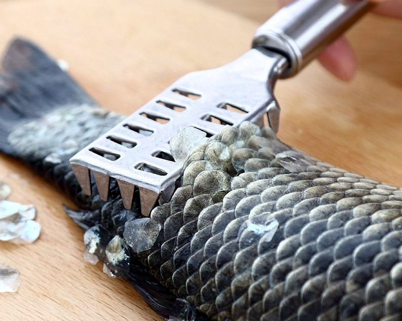 Fish Scale Remover Scraper Stainless Steel Fish Cutting Tools Sawtooth Easily Remove Fish Scales-Cleaning Brush Scraper Kitchen Tool-