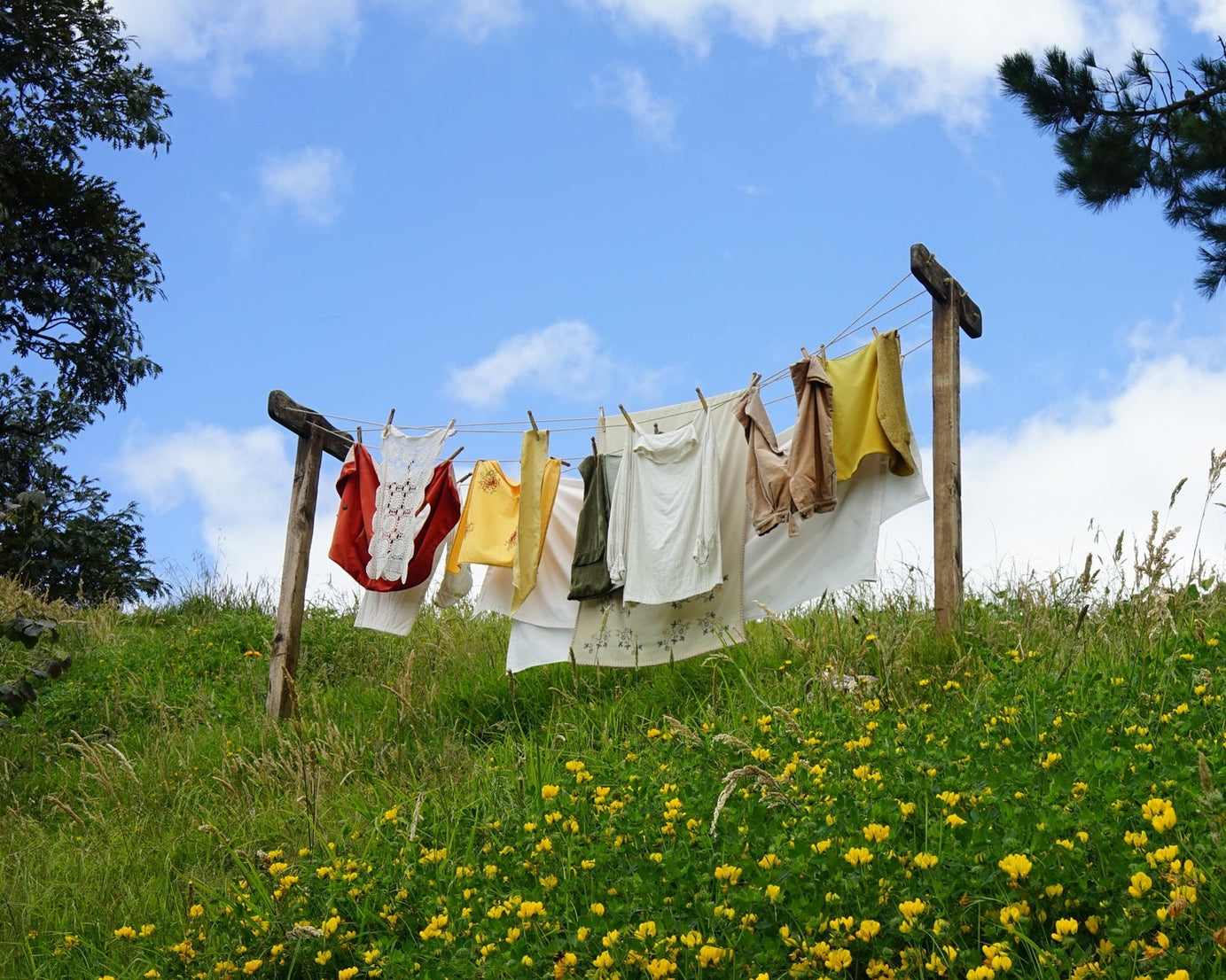 Agriculture and gardening wire