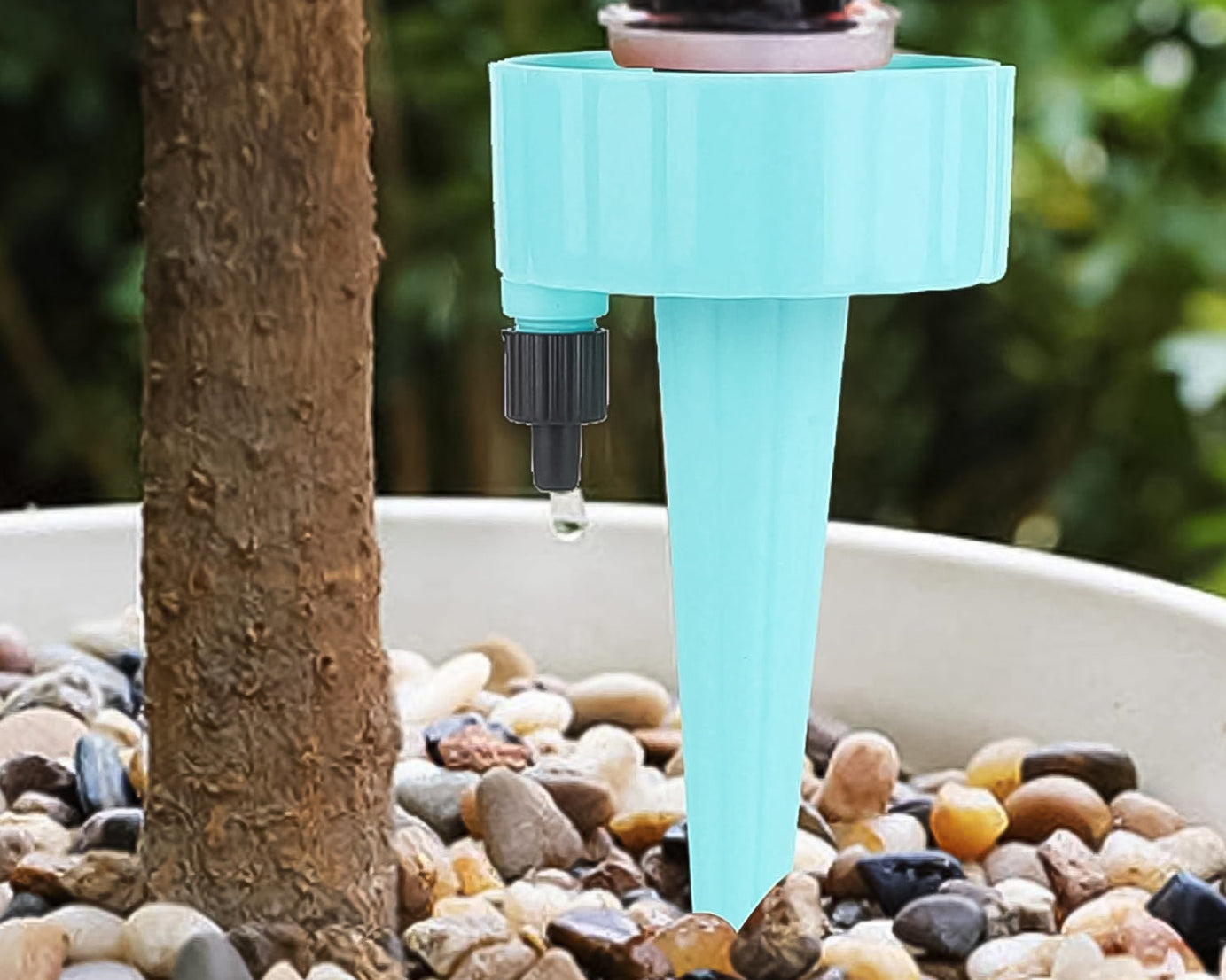 Auto Plant Watering Devices (1 Pc / Mix Color)