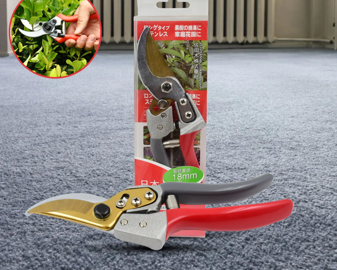 Pruners Scissor