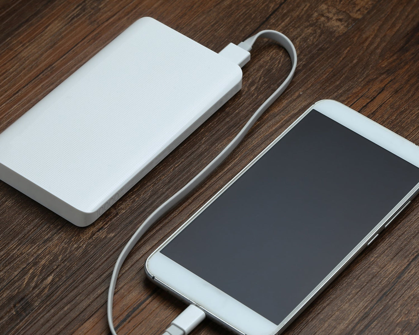 Micro USB charging cable for power banks.