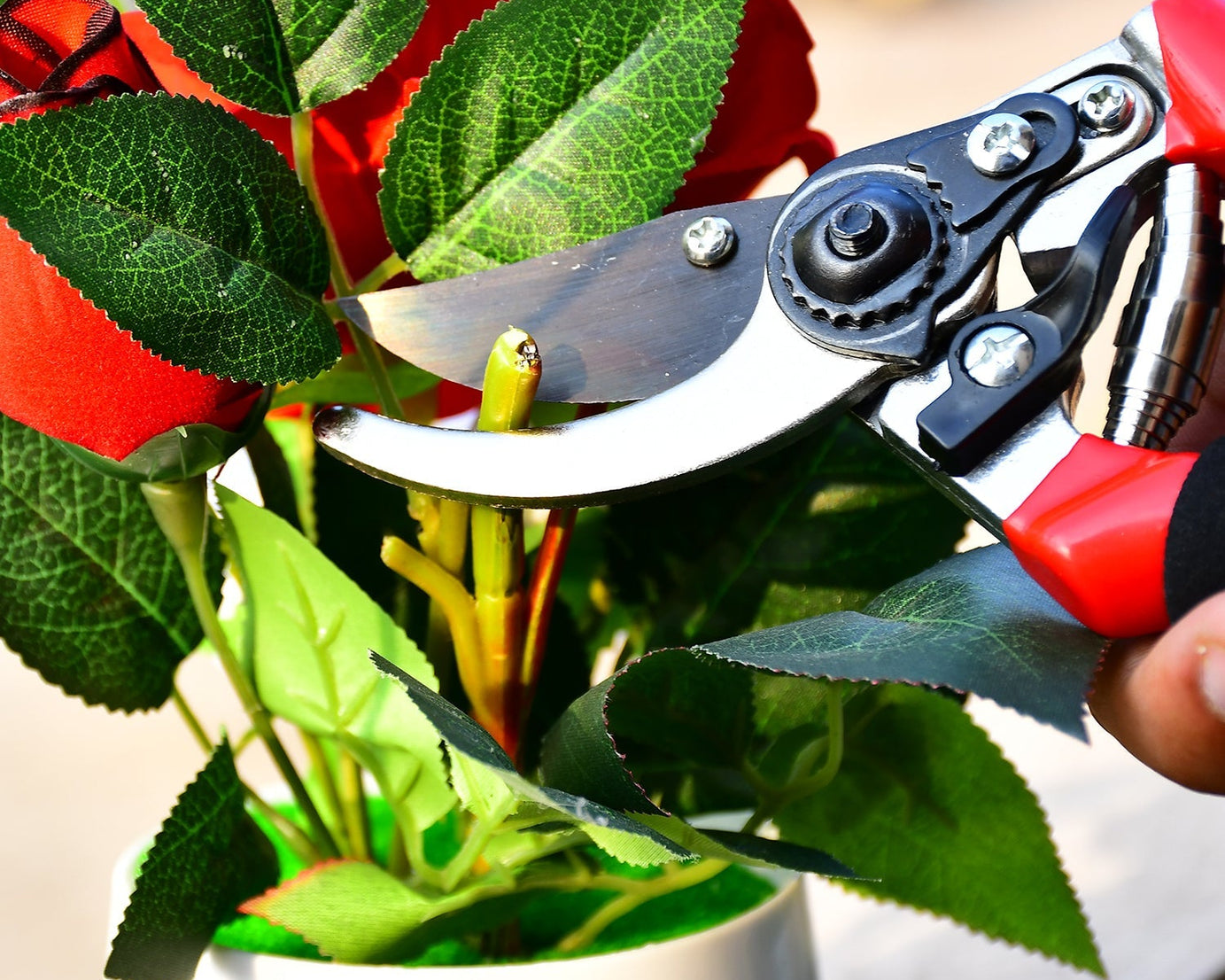 Garden pruners, 21cm red sharp cutter