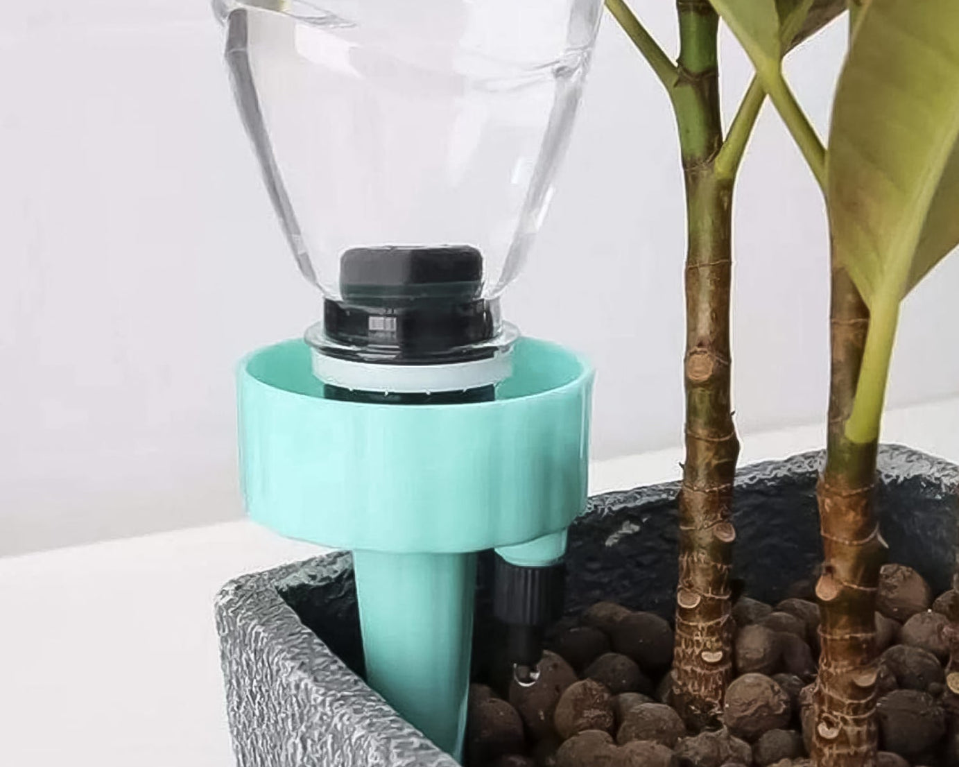 Self-Watering Spikes