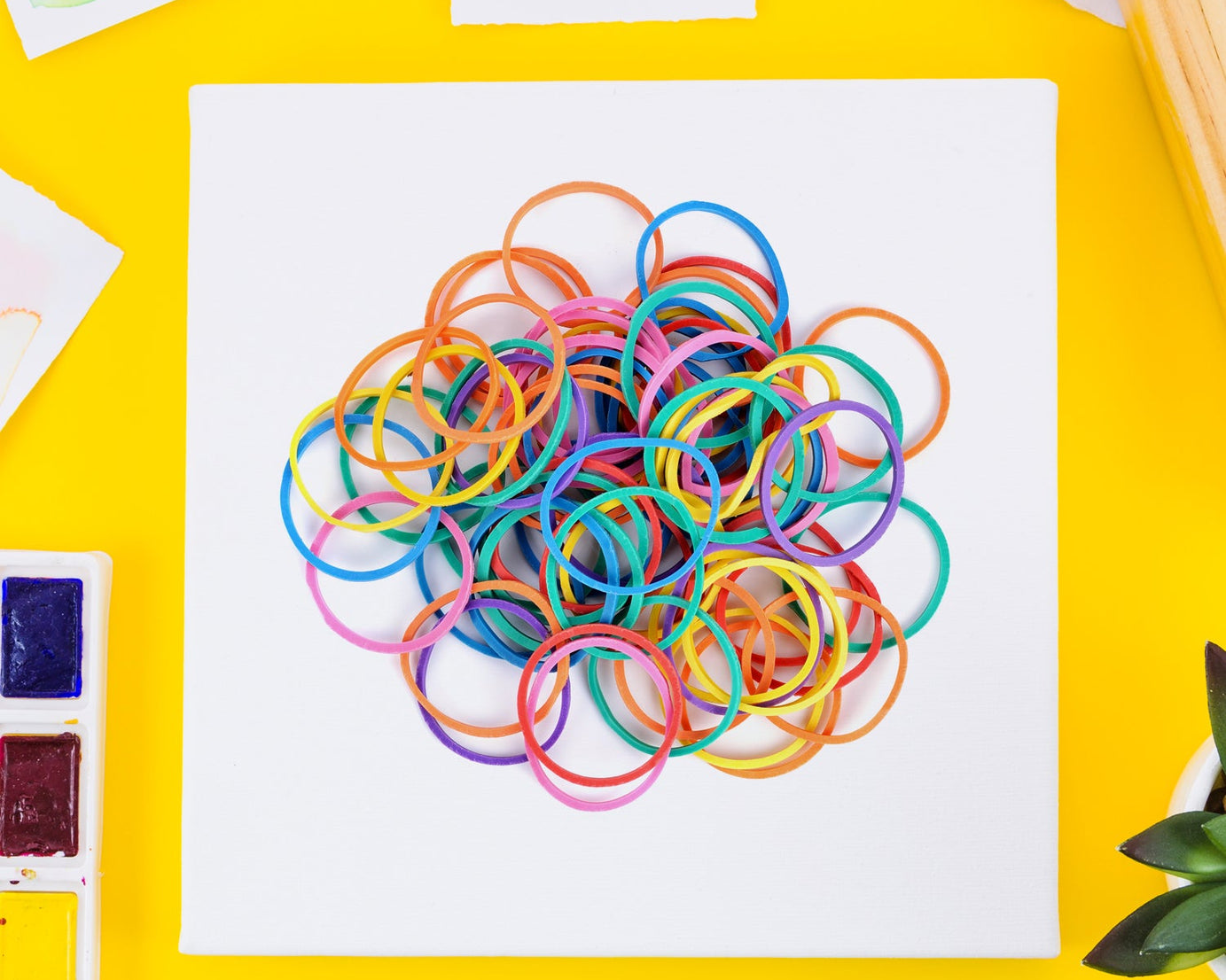 Strong & Reusable Rubber Bands: Multicolor for Office, Home & School