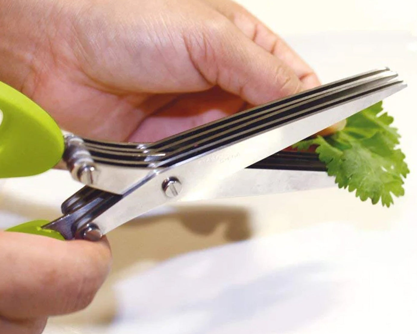 Multifunction Vegetable Stainless Steel Herbs Scissor with 5 Blades (1 Pc)
