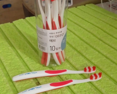 Soft Toothbrush With Plastic Round Box for Men and Women, Kids, Adults Plastic Toothbrush (10 pcs Set)