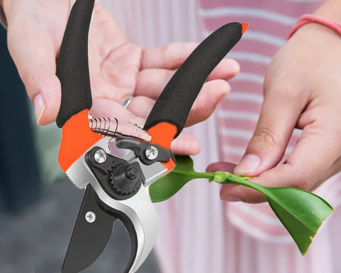 Wall-mounted garden tool organizer