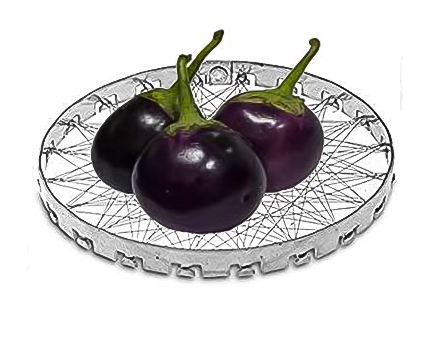Mini Tandoor Jali