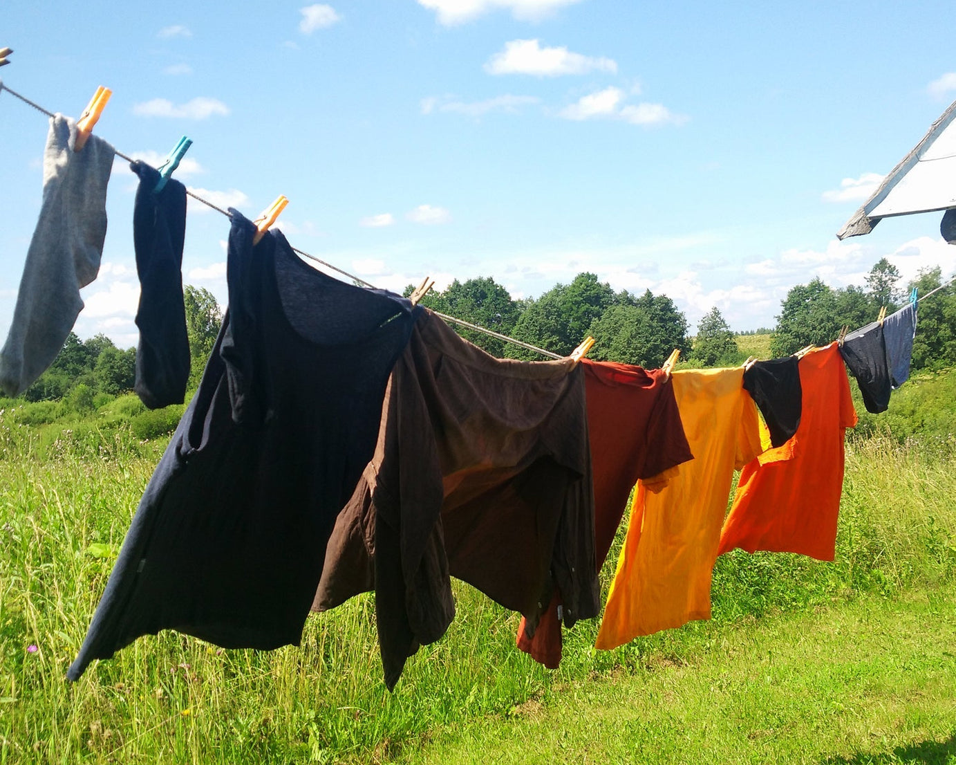 Multiuse drying wire