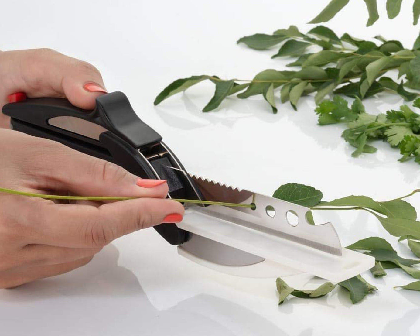 Multi-purpose stainless steel cutter for kitchen.
