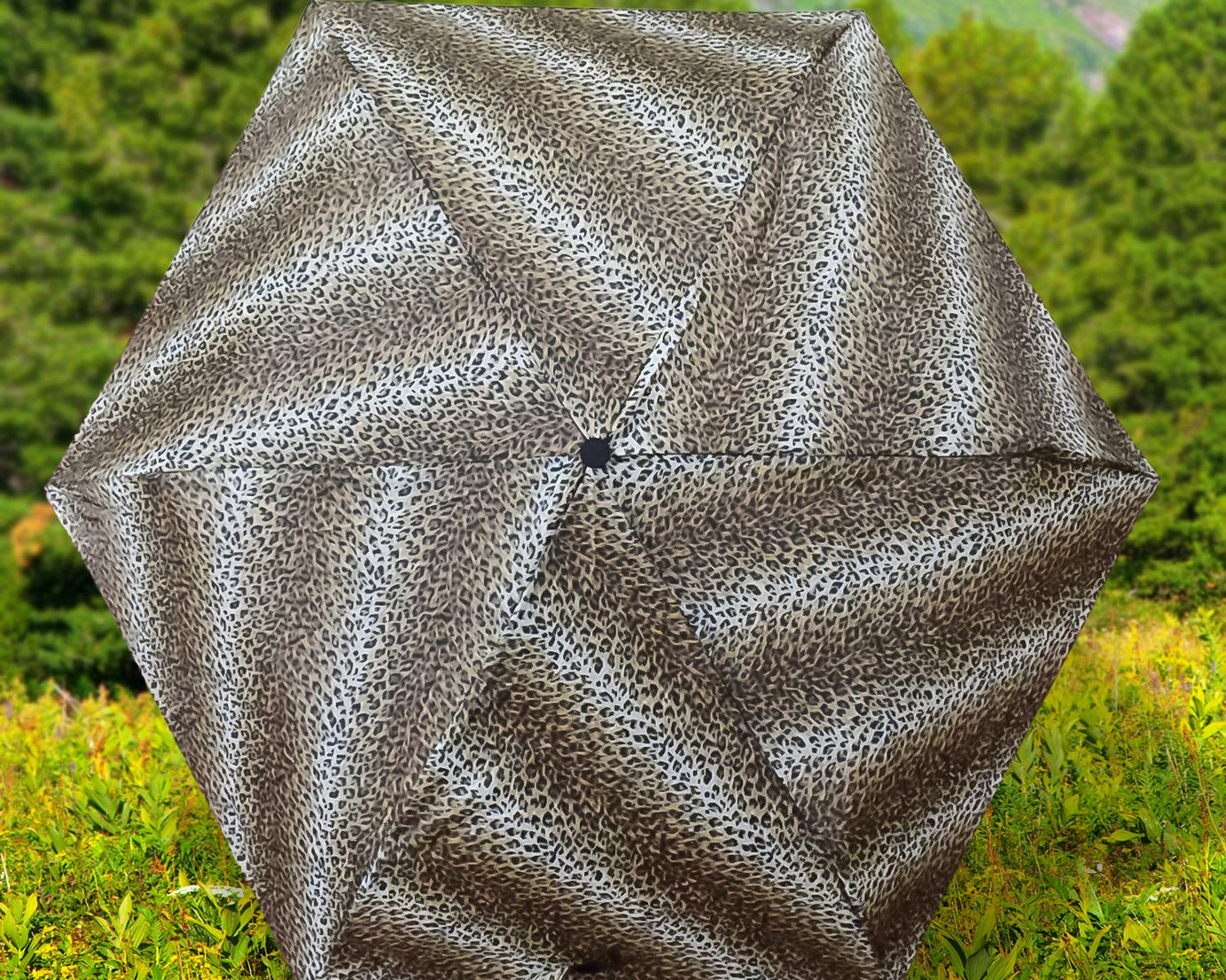 Stylish Umbrella