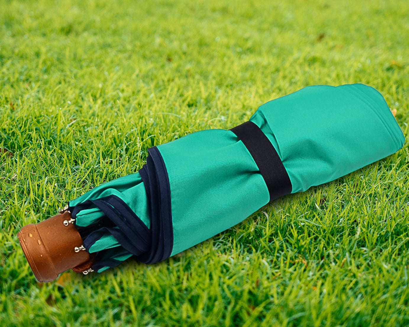 Foldable Umbrella
