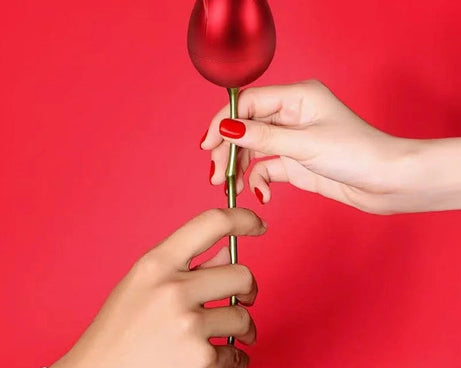 Plastic Red Rose Couple Rings Box-Fancy Rings Box (No Rings Included / 1 pc)