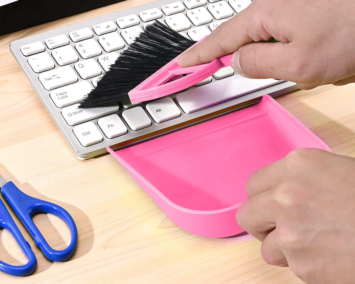 Large dustpan with brush for sweeping