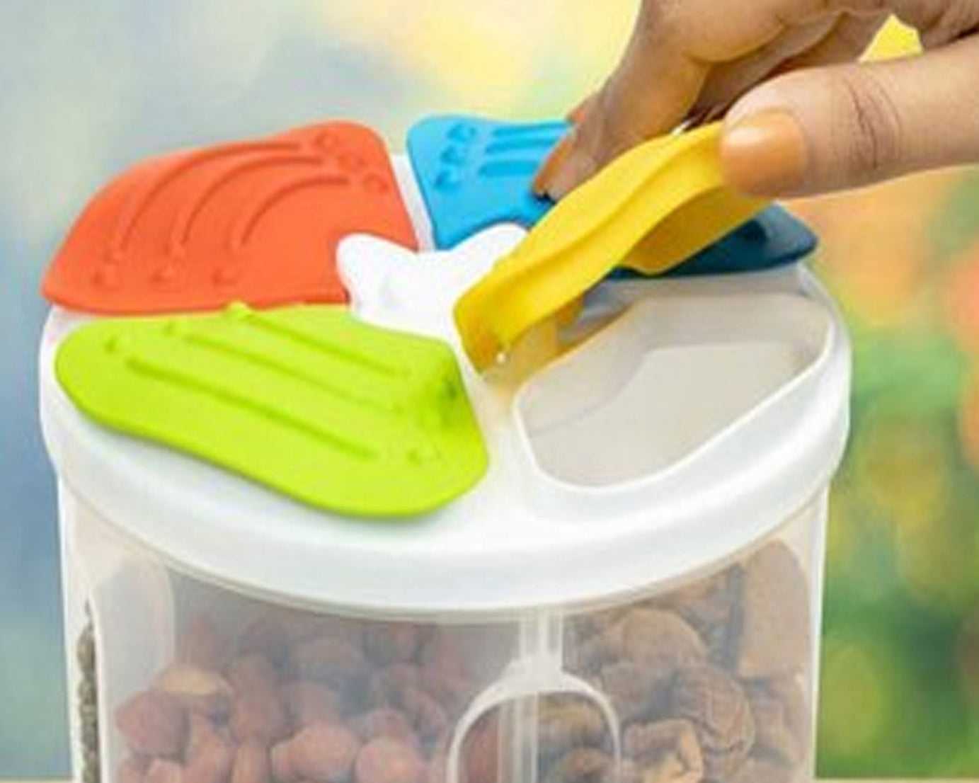 Plastic food storage container with 4 airtight sections