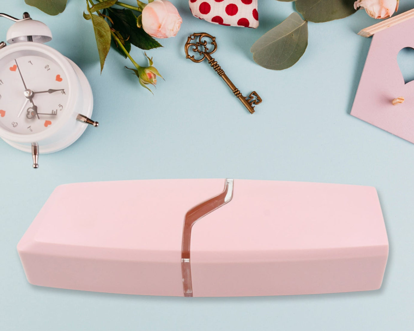 Travelling Toothbrush Case