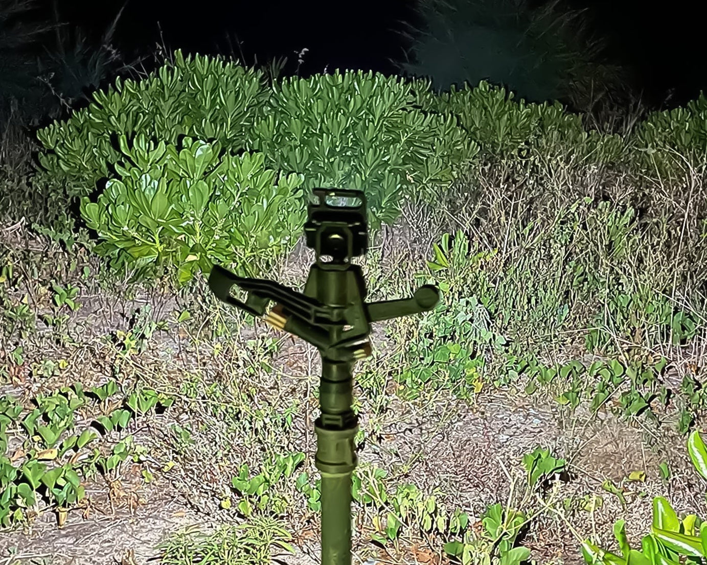 LED Battery Operated Keychain Flashlight Small Work Light with Folding Bracket Bottle Opener for Camping, Hiking, Emergency  (1 Pc / MOQ :- 36 Pcs)