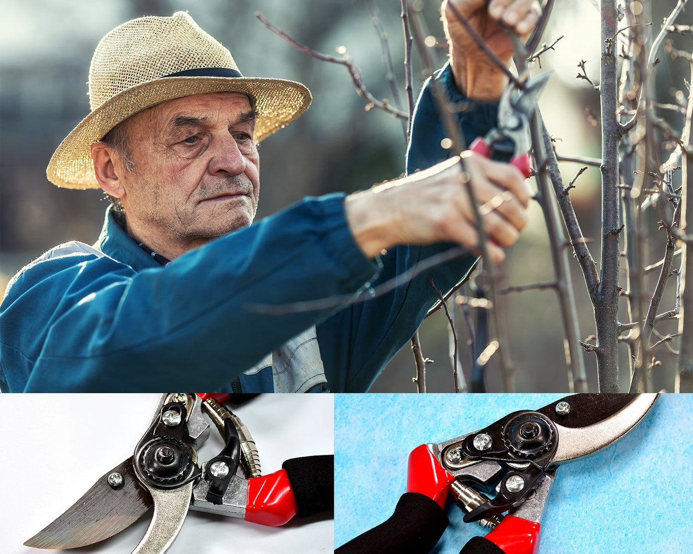 Red garden pruners, sharp cutter for trimming