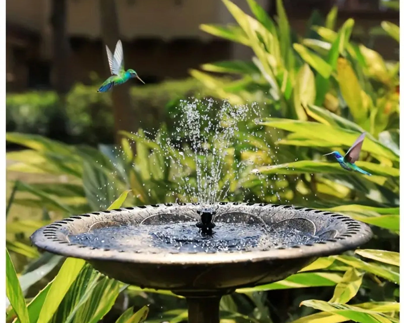 stylish Water Fountain 