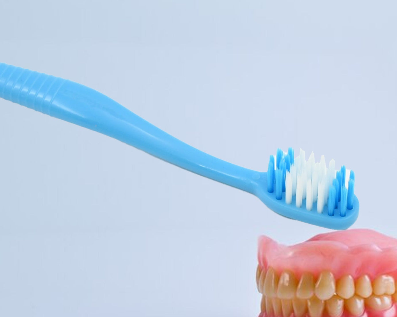 2 in 1 Soft Toothbrush and Tongue With Toothbrush Cover Cleaner Scraper for Men and Women, Kids, Adults Plastic Toothbrush Cover / Case / Holder (1 Pc)