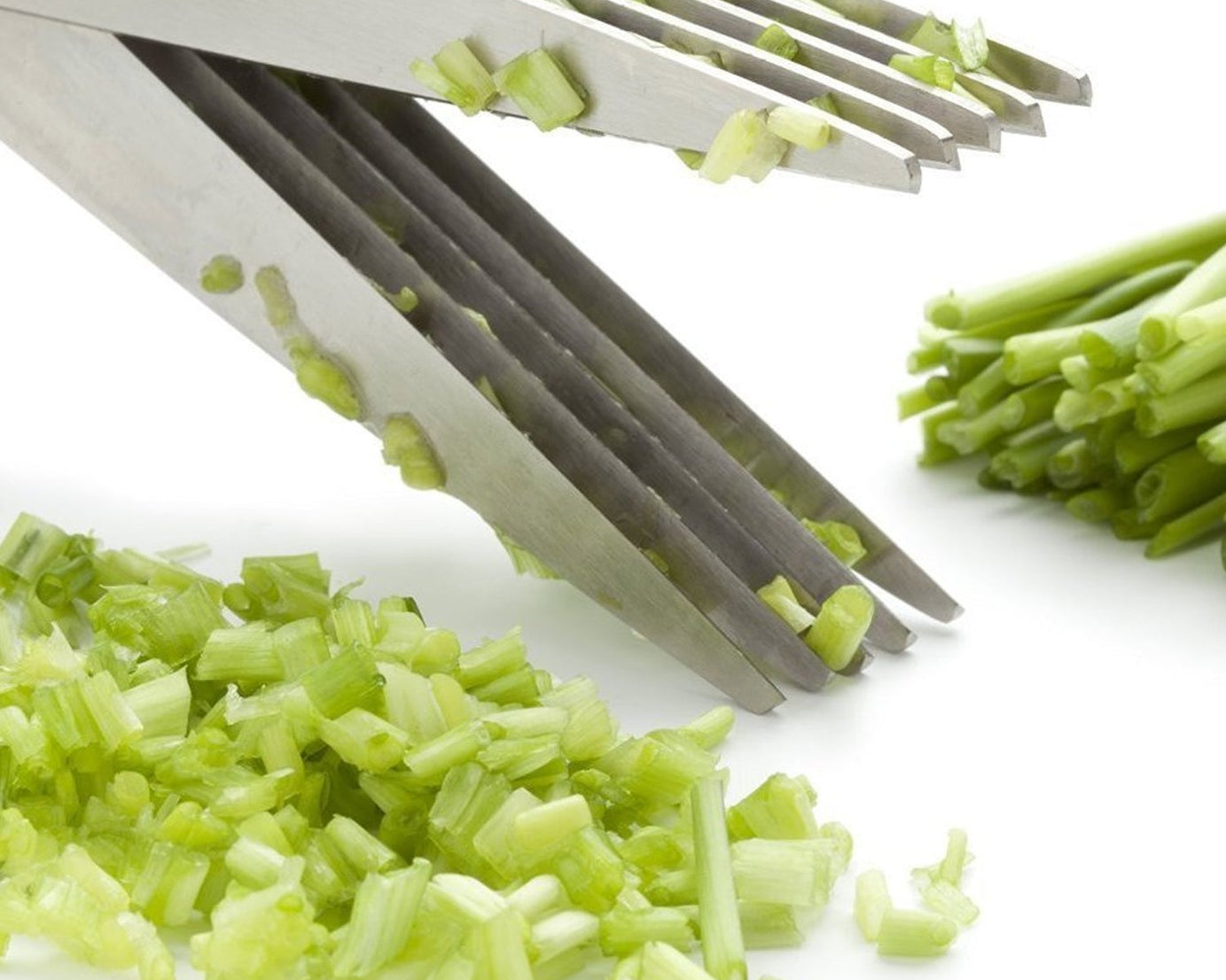 Multifunction Vegetable Stainless Steel Herbs Scissor with 5 Blades (1 Pc)