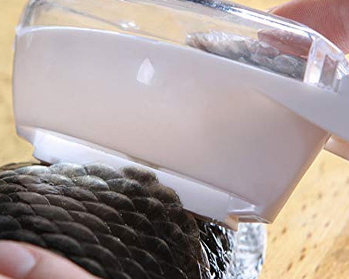 Effective fish scale scraper for home cooking.