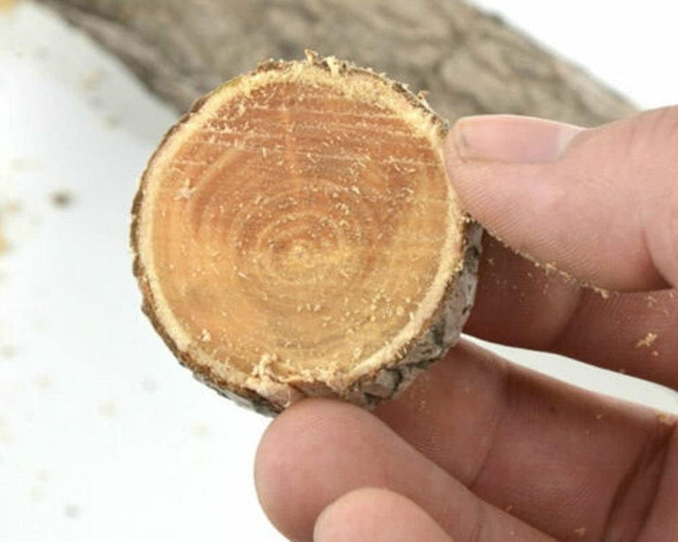 Portable Hand Saw High Strength Saw Small hand saw (34 Cm Long / 1 Pc)