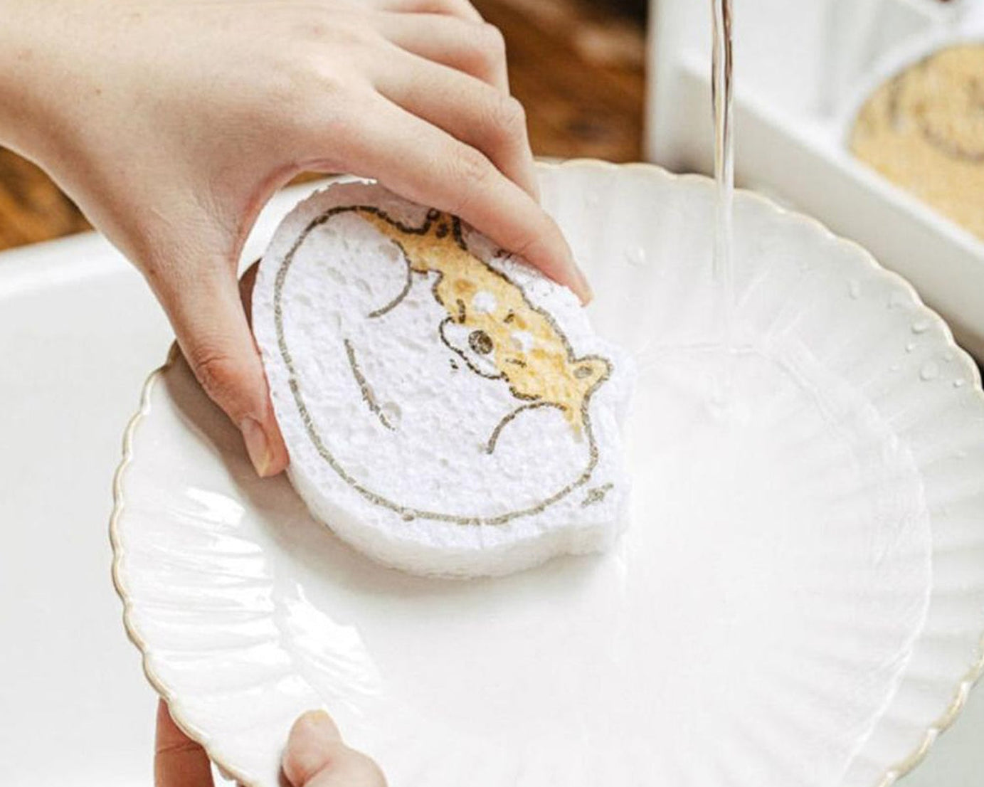 Absorbing scouring pad