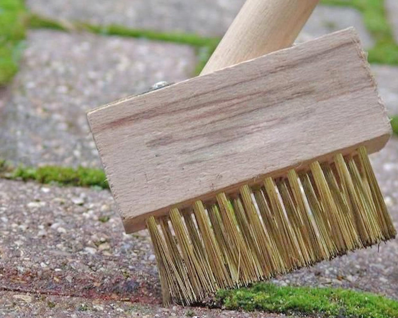 Patio Weed Remover Tool