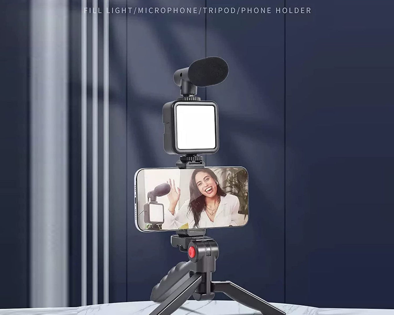 Complete vlogging kit with mic and light