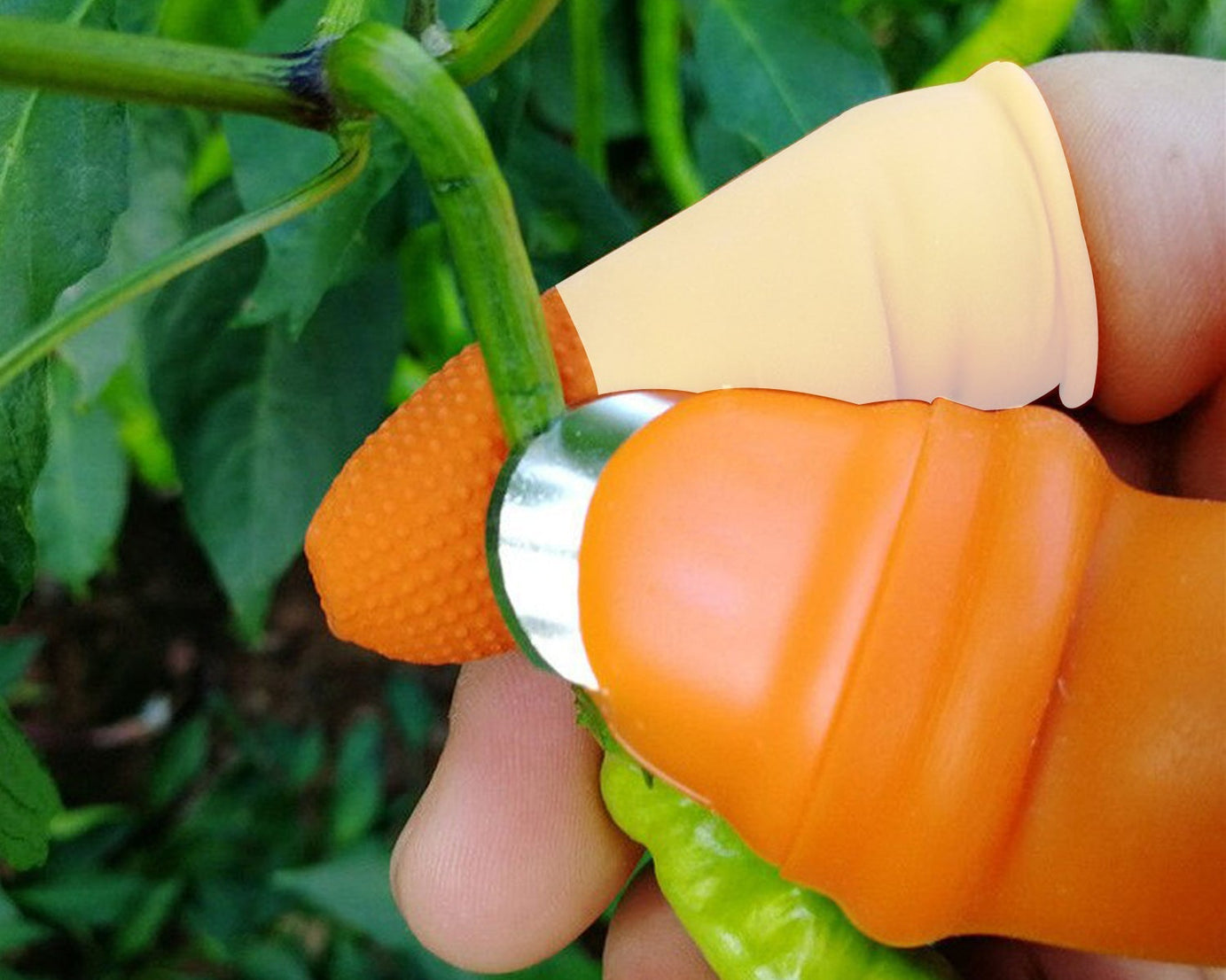 Close-up of V thumb cutter for peeling vegetables.