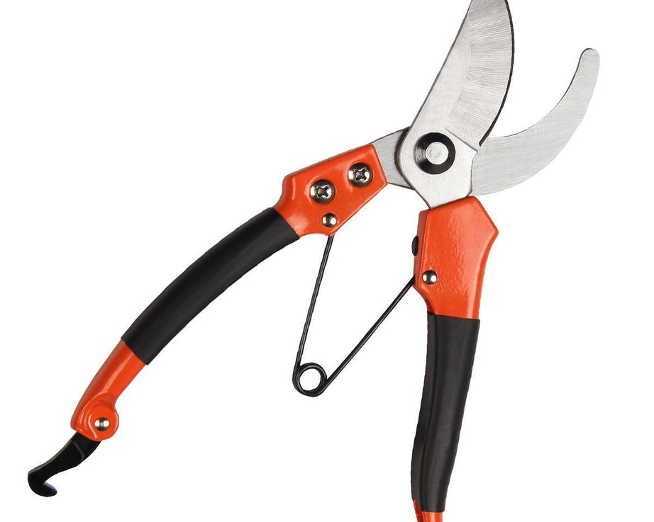 Sharp garden shears for pruning and trimming plants.